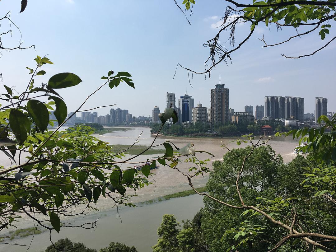石狮到峨眉山物流专线,石狮到峨眉山物流公司,石狮到峨眉山货运专线2