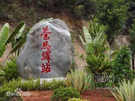 泉州到思茅货运专线