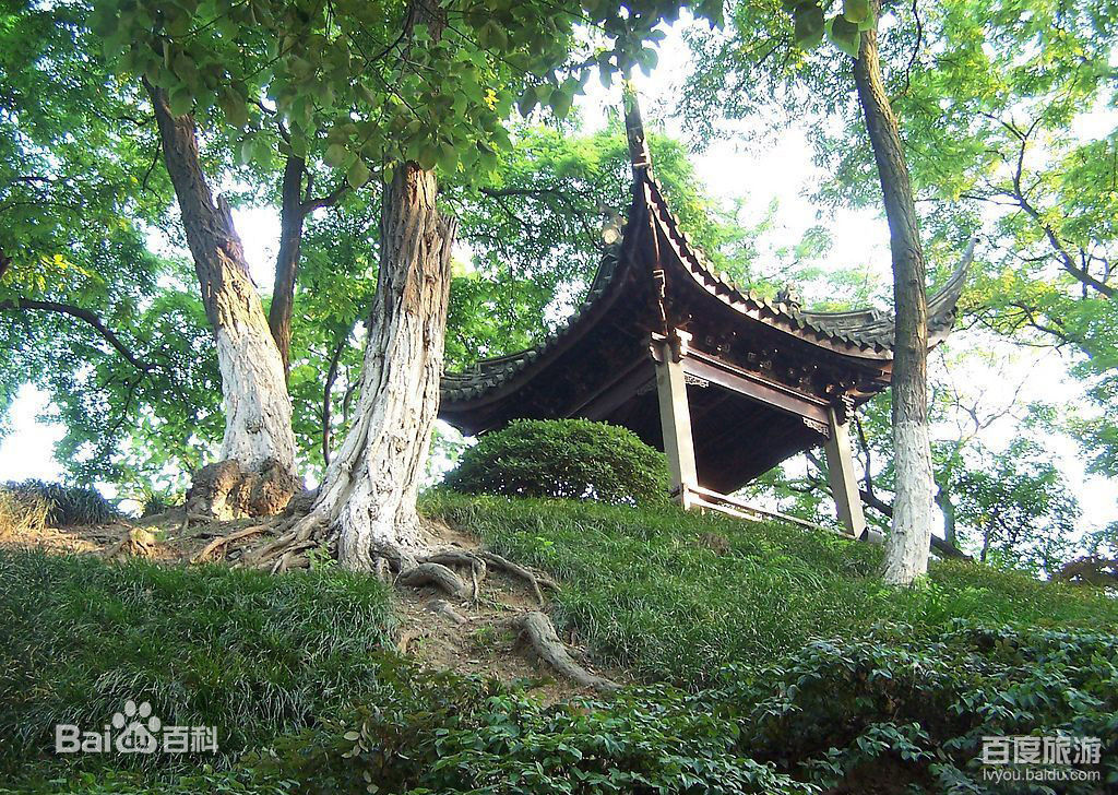 泉州到江阴货运专线