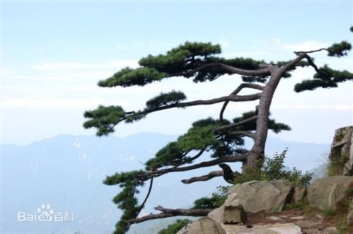 泉州到六安货运专线