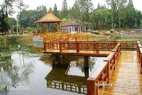 泉州到巢湖物流专线