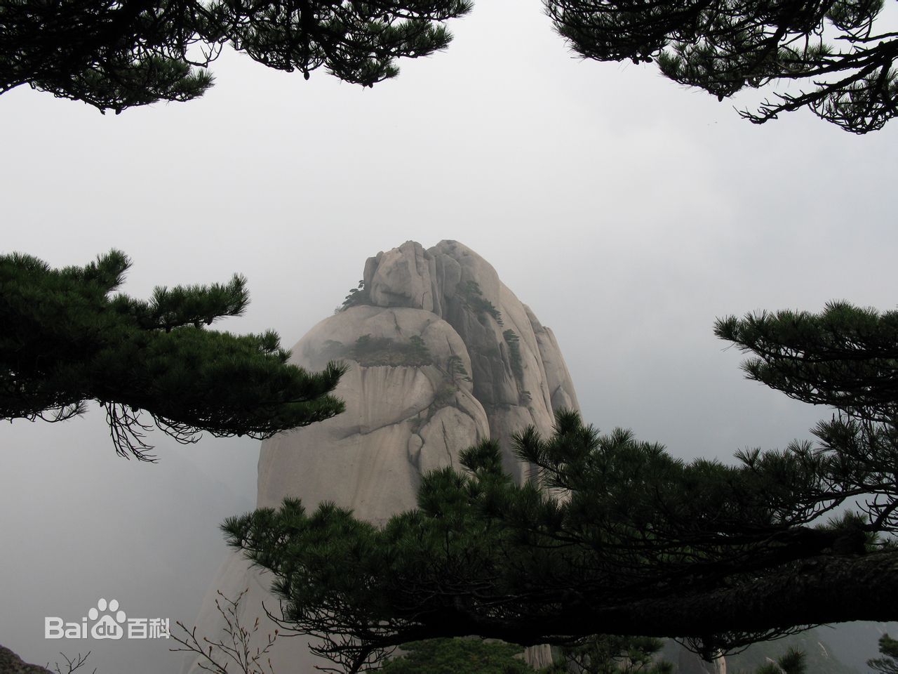 泉州到黄山货运专线